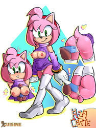 a_la_carte amy_rose cuisine pink_fur pink_hair sonic_(series) sweater