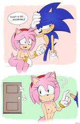 amy rose from sonic (series)