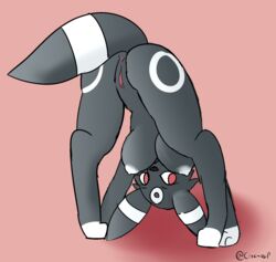 anthro anus bent_over big_breasts breasts colored_sketch digitigrade eeveelution female genitals hi_res looking_through looking_through_legs nintendo pink_pussy pokémon_(species) pokemon pussy rear_view sherbetvap solo umbreon video_games yin_(sherbetvap)