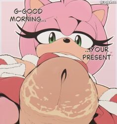 amy rose from sega by rengaboo