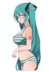 hatsune miku from vocaloid by d kou seka