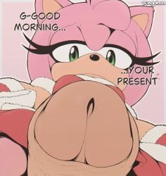 amy rose from sega by rengaboo