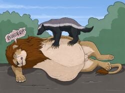 2026 animal_genitalia badger balls belly big_belly black_body black_fur brown_eyes burping duo eye_scar eyes_closed face_imprint facial_scar felid feral feral_pred fully_inside fully_sheathed fur genitals hi_res huge_belly imprint larger_male lion lying male male_feral male_pred mammal mane mdogo mustelid musteline on_side one_eye_(strega) outside pantherine resting scar sheath short_tail size_difference smaller_male story story_at_source strega tail tail_tuft tan_body tan_fur tuft vore