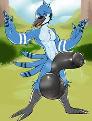 mordecai (regular show) from cartoon network by artisticwolfie