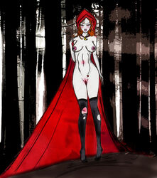 aishado female female_only little_red_riding_hood tagme