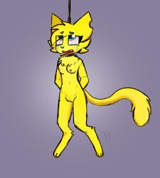 animal anthro asphyxiation blue_eyes breasts cat crying crying_with_eyes_open dead dying feline female furry hands_tied hanged kittygirlcamynsfw nipples noose pussy snuff tagme tail what yellow_fur