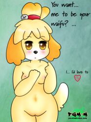 2015 animal_crossing anthro blush breasts english_text female furry isabelle_(animal_crossing) medium_breasts nintendo nipples pgm-m pussy solo wide_hips yellow_eyes yellow_fur