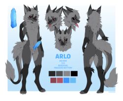 absurd_res anthro arlo_(amazingcanislupus) balls black_sclera blue_penis bodily_fluids chest_tuft demdoq digitigrade dragon english_text fluffy fur furred_dragon genital_fluids genitals grey_body grey_fur hi_res horn male male_only model_sheet nardoragon penis precum red_eyes solo text tongue tongue_out tuft