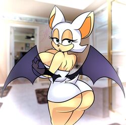 rouge the bat from sonic (series) by pixelzsinful