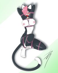 zinni fan art