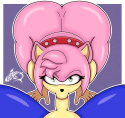 amy rose from sega by renegade-157