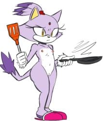 blaze the cat from sega by akuzaguy