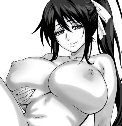 akeno himejima from high school dxd by ryveilee