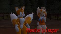 Sonic (Series) Rule 34 Video