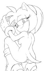 amy rose from sega by randomguy999