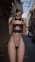 3d alternate_costume blindfold breasts cat_ears cat_girl catgirl female justjessie lingerie medium_breasts nekomata nekomimi nier nier:_automata white_hair yorha_2b