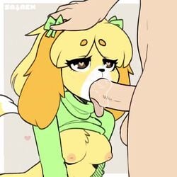 1:1 1boy 1girls 2021 2d accessory animal_crossing animated anthro anthro_focus areola black_nose blonde_hair blowjob blush bodily_fluids brown_eyes canine chest_tuft clothed_female clothed_female_nude_male clothed_sex duo erection eyelashes faceless_male fellatio female female_focus fingers fur furry genitals gif green_clothing green_shirt green_sweater green_topwear hair_accessory hair_ribbon half-closed_eyes hand_on_head heart heart-shaped_pupils highres human human_on_anthro humanoid_genitalia humanoid_penis interspecies inverted_nipples isabelle_(animal_crossing) looking_pleasured mammal mintmoova multicolored_body multicolored_fur music narrowed_eyes nintendo nipples nude nude_male oral penis pink_background pink_nipples pinkanimations ribbons saliva saliva_on_penis saliva_on_tongue saliva_string sataenart sex shih_tzu shirt shorter_than_30_seconds simple_background solo_focus sound standing straight sucking_penis sweater symbol-shaped_pupils sехual tailwag testicles tongue tongue_out topwear toy_dog tuft video watermark white_fur yellow_body yellow_fur
