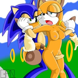 anthro bpq00x female fur gloves hedgehog interspecies male mammal marine_the_raccoon outdoors penis pussy raccoon rodent sonic_(series) sonic_the_hedgehog standing straight tagme