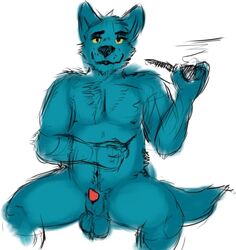 anonymous_artist balls becoming_erect belly blue_body blue_fur canid canine canis chest_tuft fur genitals healerblade looking_at_viewer male mammal penis pipe sketch smoking smoking_pipe solo tuft wolf