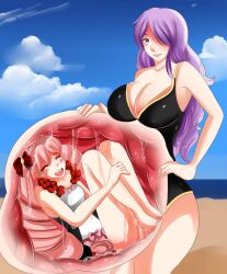 2girls alternate_costume black_swimsuit bow camilla_(fire_emblem) elise_(fire_emblem) elise_(summer)_(fire_emblem) fire_emblem fire_emblem_fates happy large_breasts long_hair multiple_girls official_alternate_costume one-piece_swimsuit purple_hair saintxtail siblings sisters smile source_request swimsuit vore white_swimsuit x-ray