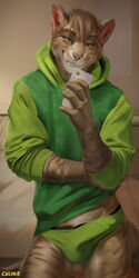 1boy 2021 anthro bulge chunie claws clothing detailed_background digital_media_(artwork) domestic_cat felid feline felis green_underwear hi_res holding_object holding_phone looking_at_viewer male male_only mammal phone selfie solo sweater topwear underwear