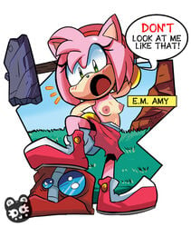 1girls amy_rose artist_logo breasts_out dialogue english_text green_eyes hammer kingraam pink_fur pink_hair skirt small_breasts sonic_(series) text topless