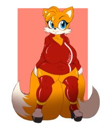 1girls 2_tails anthro big_breasts chubby female no_humans rule_63 sega shortstack solo sonic_(series) sonic_the_hedgehog_(series) suirano sweater tagme tails_the_fox tailsko thick_thighs