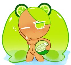 1girls :< alternate_version_at_source breasts completely_nude_female cookie_run cookie_run_kingdom cookie_run_ovenbreak hand_behind_head holding_object lime_cookie nude_alt pussy sweatdrop tagme_(artist) tan_body volleyball water