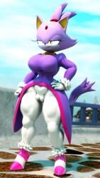 3d anthro blaze_the_cat cameltoe diag34k large_breasts sonic_(series) thick_thighs