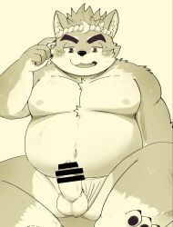 accessory anthro asian_clothing balls blush bodily_fluids canid canine canis clothing clothing_aside domestic_dog east_asian_clothing embarrassed erection eyebrows fundoshi fundoshi_aside genital_fluids genitals headband hi_res japanese_clothing male mammal musashi_(tamacolle) musclegut muscular navel nipples pecs penis precum shiba_inu sitting solo spitz sweat tamacolle thick_eyebrows underwear underwear_aside zuboboz