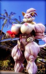3d alternate_muscle_size anthro beach blaze_the_cat chaos_emerald diag34k muscular_female sonic_(series) thick_thighs