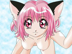 ichigo_momomiya mew_ichigo tagme tokyo_mew_mew