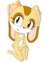 color cream_the_rabbit female female_only flat_chest front_view fur furry huge_eyes huge_head kneeling nude rabbit sega smile solo sonic_(series) tagme toony