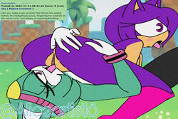 69_position ashley_the_hedgehog catrashley18 cunnilingus licking_pussy rule_34_comment sonar_the_fennec sonic_(series)