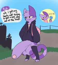 1boy 2020 animal_crossing animal_ears anthro balls bob_(animal_crossing) caeleste cat_ears cat_tail catboy clothing feline femboy fur hoodie hyper hyper_balls hyper_penis male male_anthro male_only nintendo penis purple_fur purple_tail solo solo_male tail