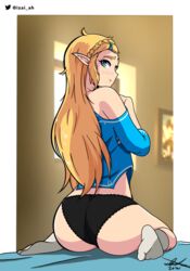 princess zelda from breath of the wild by izai ah