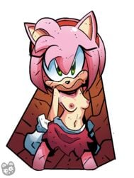 amy_rose angry archie_comics female frown kingraam mad pink_fur pink_hair skirt small_breasts sonic_(series) topless