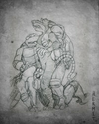 2010 anthro donatello hermit_(artist) leonardo male male_only master_splinter michelangelo raphael teenage_mutant_ninja_turtles