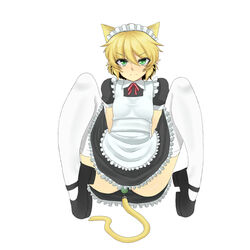 alternate_costume anal_tail animal_ears apron bangs black_dress black_footwear blush breasts cat_ears cat_tail closed_mouth collared_dress commentary_request dress enmaided fake_tail female frilled_apron frilled_dress frills full_body kemonomimi_mode looking_at_viewer maid maid_headdress mary_janes mizuhashi_parsee neck_ribbon nicutoka pointy_ears red_neckwear red_ribbon ribbon shoes short_hair short_sleeves simple_background small_breasts solo spread_legs tail thighhighs touhou white_apron white_background white_legwear