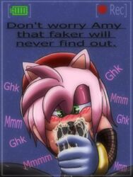 amy_rose blush cum_in_mouth filter mobian_(species) recording sega shadow_the_hedgehog sonic_(series) sonic_the_hedgehog_(series)