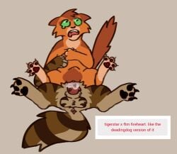 firestar (warriors) from warriors (book series)