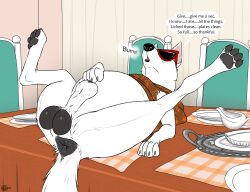 anus ass asshole balls belly blake_(consensualcanine) canid canine canis consensualcanine domestic_dog feral german_shepherd male pawpads paws sheath sunglasses table testicles white_fur