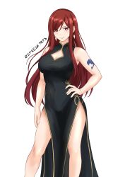 erza scarlet from fairy tail by zefresh arts