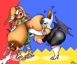 rouge the bat from sega by xanderdwulfe