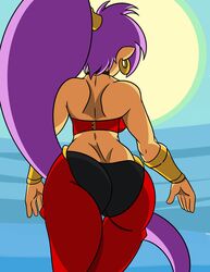 shantae (character) from shantae by deadlywithpaper