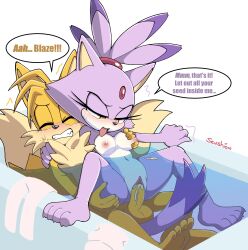 blaze the cat from sega by senshion