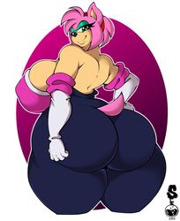 alternate_breast_size amy_rose amy_the_bat anthrofied ass big_ass big_breasts breasts green_eyeshadow hedgehog huge_ass huge_butt large_ass large_breasts large_butt looking_at_viewer looking_back pink_fur pink_hair rouge_the_bat_(cosplay) seductive seductive_smile sega sideboob sonic_(series) sonic_the_hedgehog_(series) superix tail