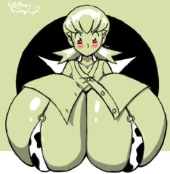 gym leader from nintendo by roga14