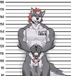animal_genitalia animal_penis anthro barcode barcode_tattoo biped black_collar canid canine canine_genitalia canine_penis canis collar cuff_(restraint) genitals handcuffed handcuffs luorein_klaus male mammal metal_cuffs muscular muscular_anthro muscular_male nude_anthro nude_male penis restraints sheath slave solo tattoo wolf