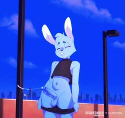 1boy bunny bunny_(scratchdex) cum femboy furry non-human public public_nudity scratchdex skinny sound sound_effects suspicious_amount_of_semen tagme video young